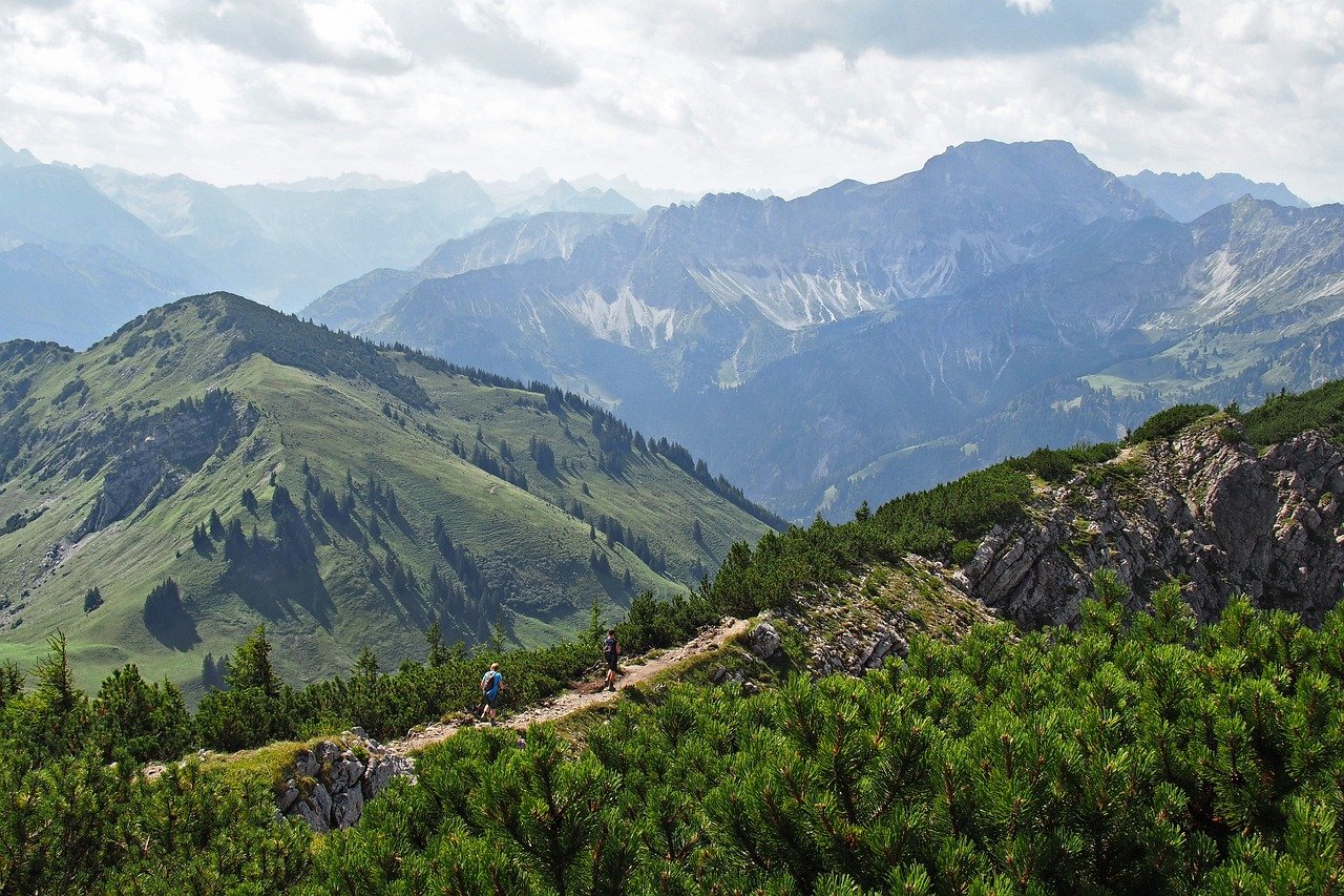 Hiking the Enchanting Trails of Olympic National Park